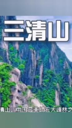 蔬菜忍者